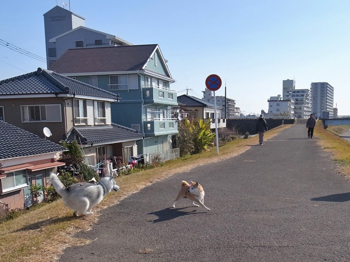 続・盛り沢山なお散歩_c0049299_1928472.jpg