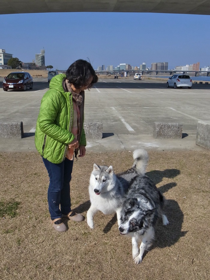 続・盛り沢山なお散歩_c0049299_19322281.jpg