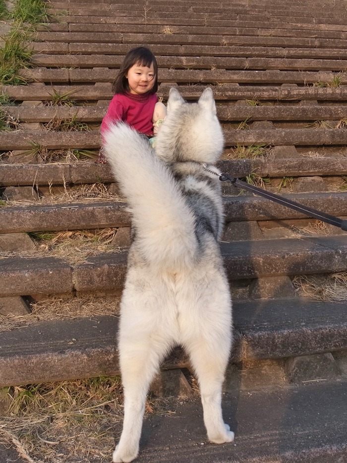 続・盛り沢山なお散歩_c0049299_19391515.jpg