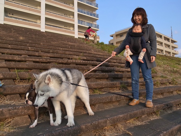 続・盛り沢山なお散歩_c0049299_19403655.jpg