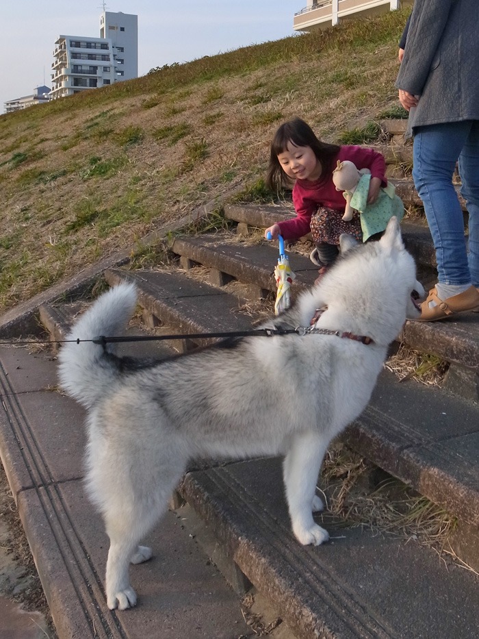 続・盛り沢山なお散歩_c0049299_1942157.jpg