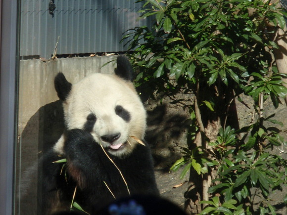 a0288500_11422083.jpg