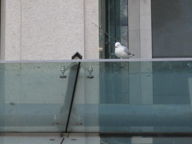 a0224502_11112910.jpg