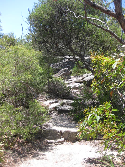 a0224502_17583595.jpg