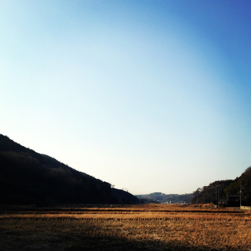 唐沢山梅林公園マラソン大会_f0138807_9193473.jpg