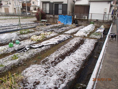 c0165909_9292180.jpg