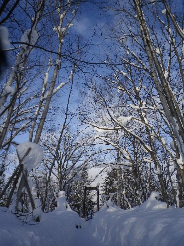 e0052716_100090.jpg