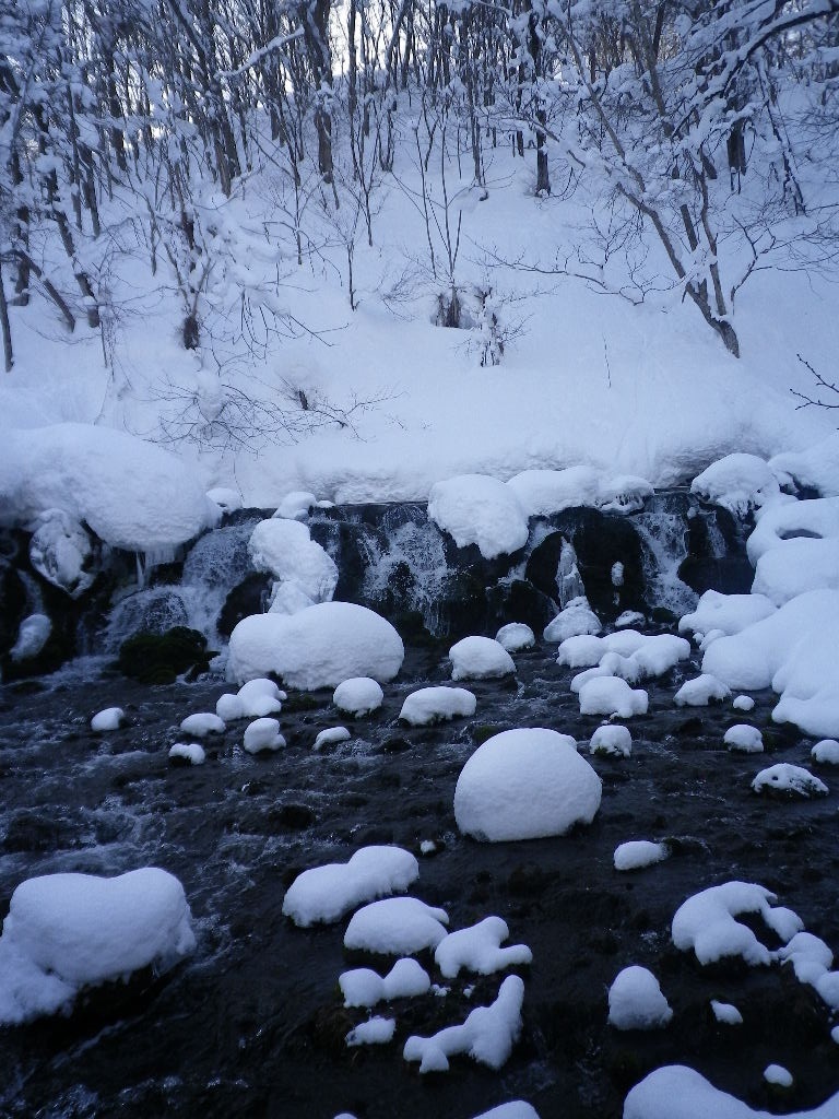 e0052716_1013667.jpg