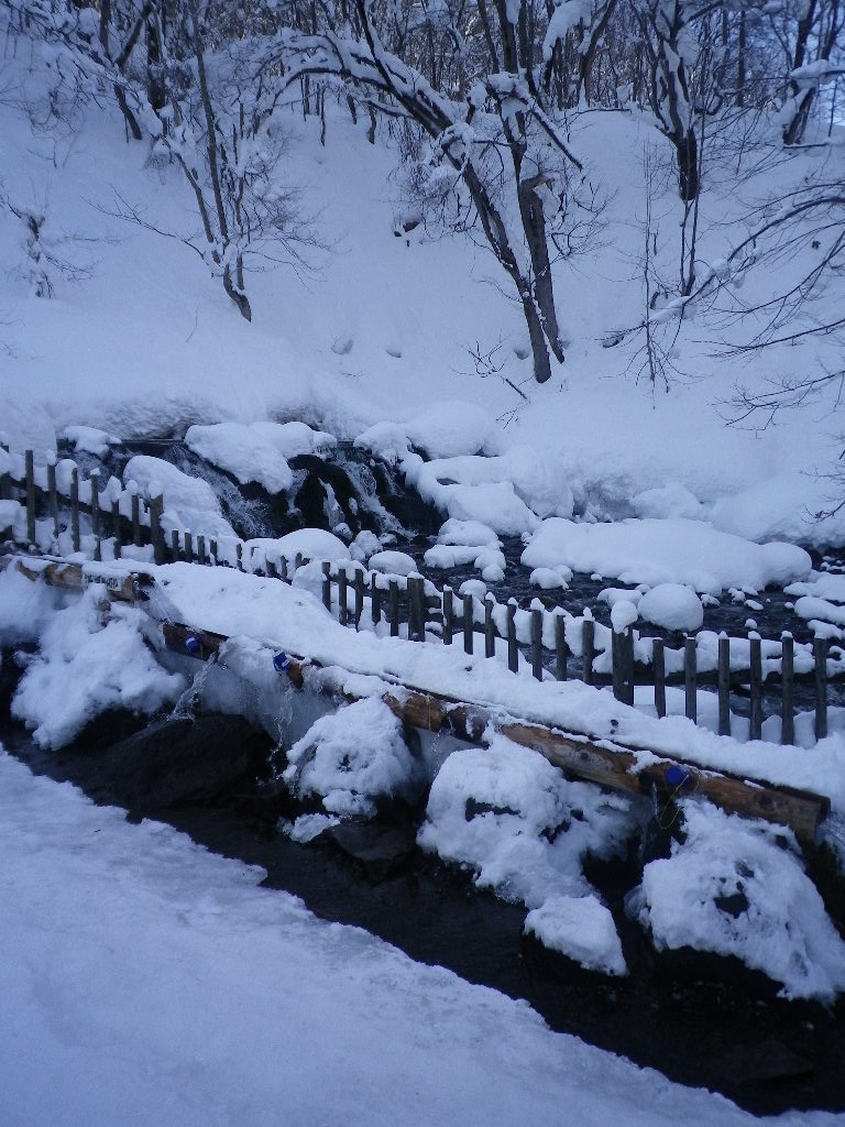 e0052716_1022721.jpg
