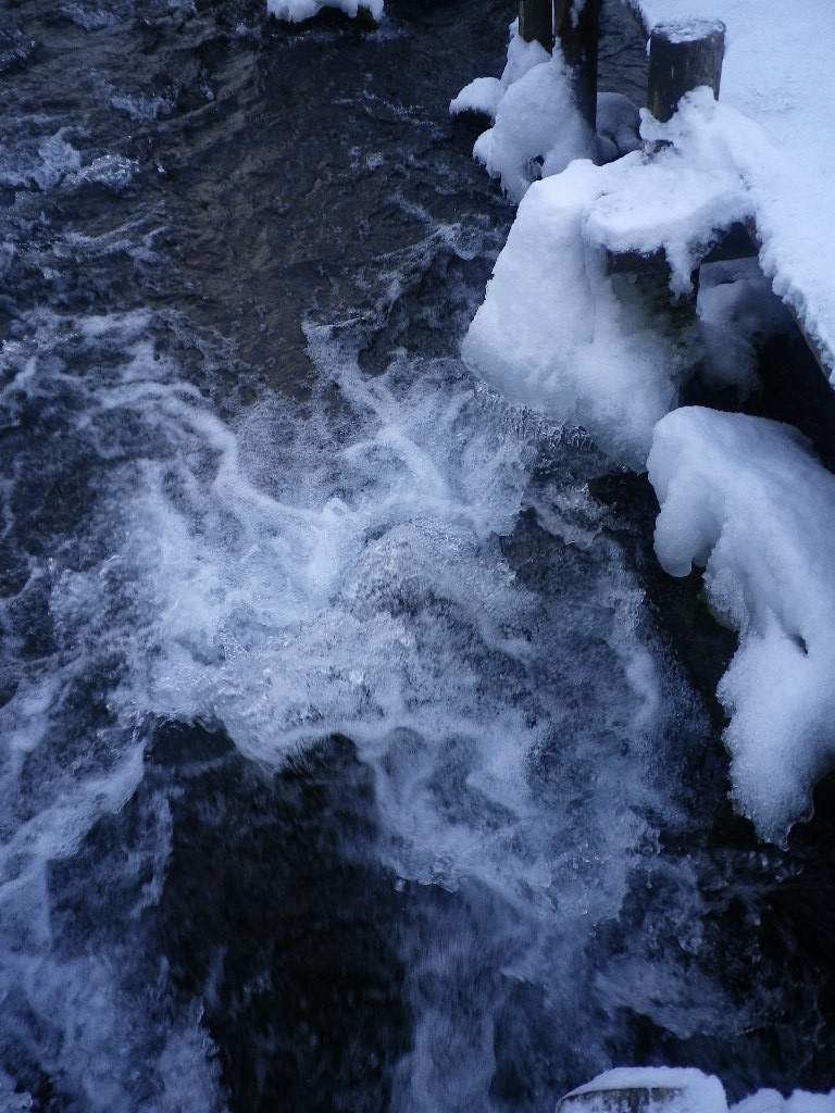 e0052716_103432.jpg