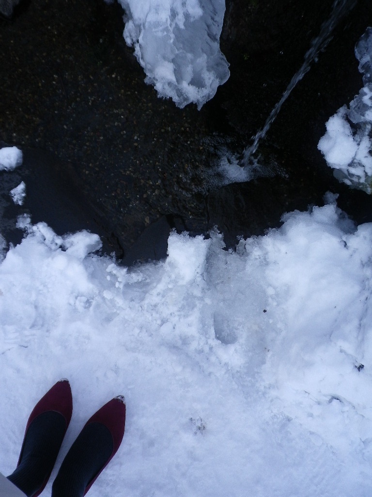 e0052716_1043726.jpg