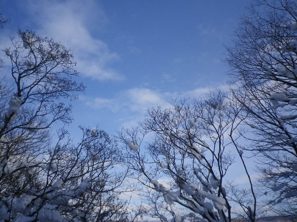 e0052716_9584089.jpg
