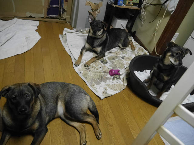 f0282319_11471689.jpg
