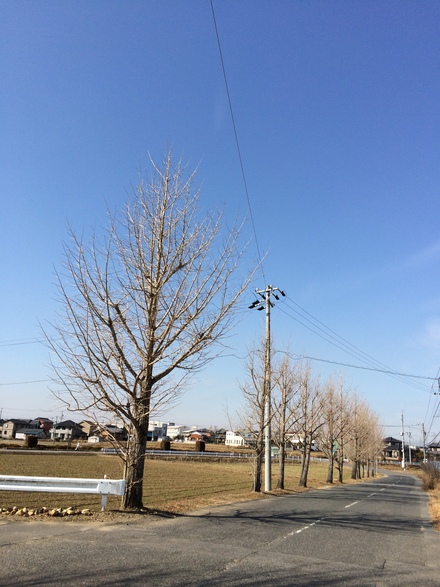 b0247223_1236394.jpg