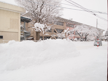 雪の按配_d0068023_12393697.jpg