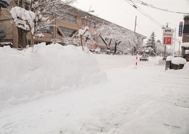 雪の按配_d0068023_12453056.jpg