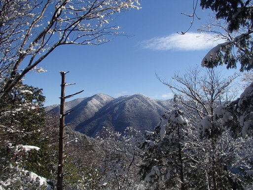 青谷道場　雪の京都へ_a0036424_10114258.jpg