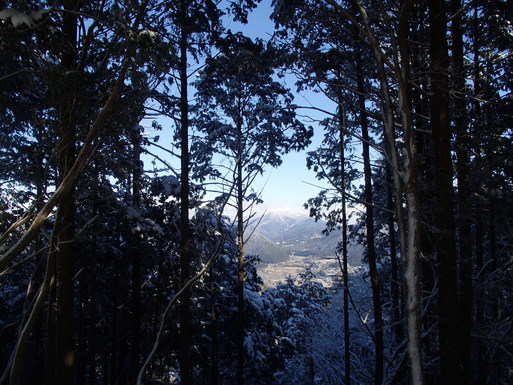 青谷道場　雪の京都へ_a0036424_10131194.jpg