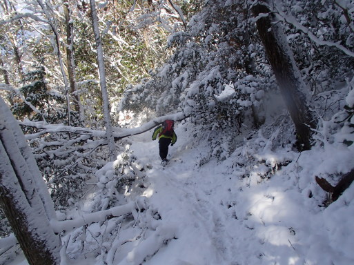 青谷道場　雪の京都へ_a0036424_10454198.jpg