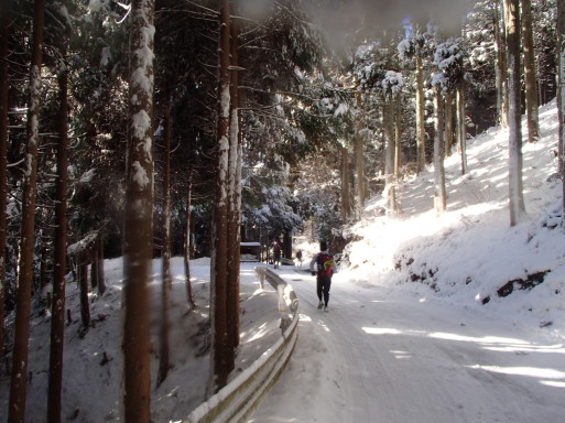 青谷道場　雪の京都へ_a0036424_10505926.jpg