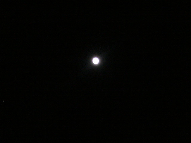 f0203927_02102.jpg