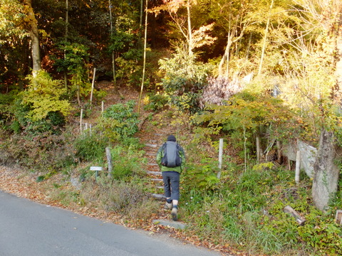 紅葉を観に東尾根山陵コースから拓殖大西尾根コース　〜11月24日(日)〜その①_b0281732_1540885.jpg