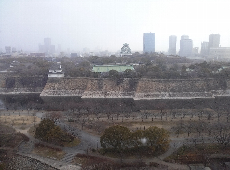 極寒の日曜日とロバとヤギ_c0113733_1171191.jpg