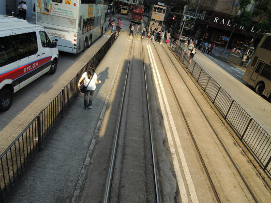 その鳴き声と美しさ　～トラムの線路～_e0248743_74372.jpg