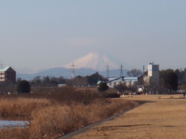 朝練…(1月20日の走行)_b0136045_1011743.jpg