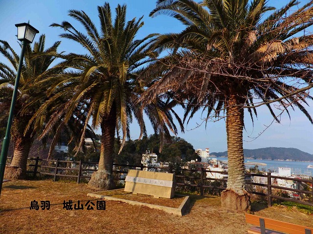 d0048350_2081539.jpg