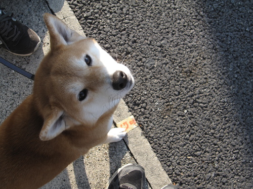 f0245650_1214980.jpg