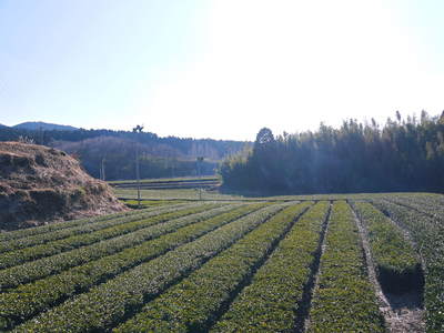 「御願立て」と「どんどや」 熊本県菊池市伊牟田の年行事_a0254656_1735690.jpg