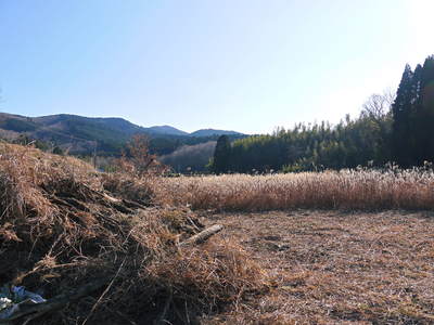 「御願立て」と「どんどや」 熊本県菊池市伊牟田の年行事_a0254656_1783663.jpg