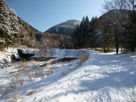 雪の綿向山（その1）_d0231858_182401.jpg