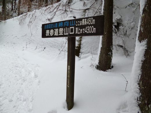 雪の綿向山（その1）_d0231858_18325646.jpg