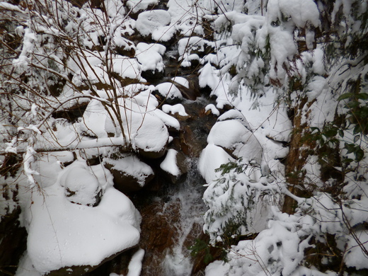 雪の綿向山（その1）_d0231858_183508.jpg