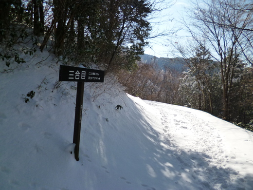 雪の綿向山（その1）_d0231858_18462589.jpg