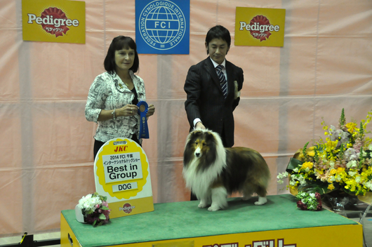 Chiba　International dog show 2014_f0126965_165725100.jpg