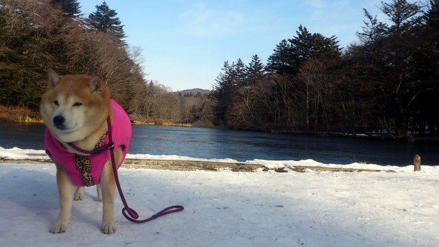 b0274270_131136100.jpg