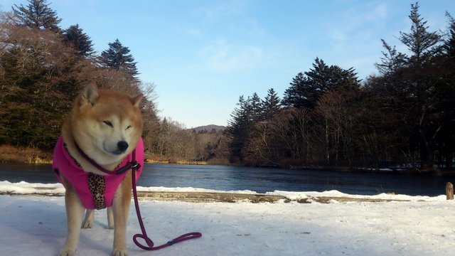 b0274270_13114770.jpg