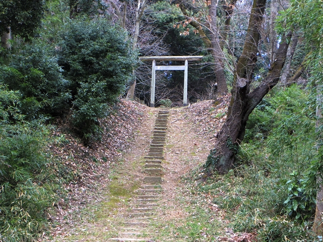 d0031171_87799.jpg