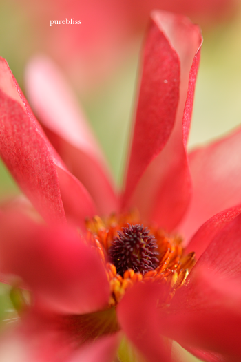 b0243873_13524908.png