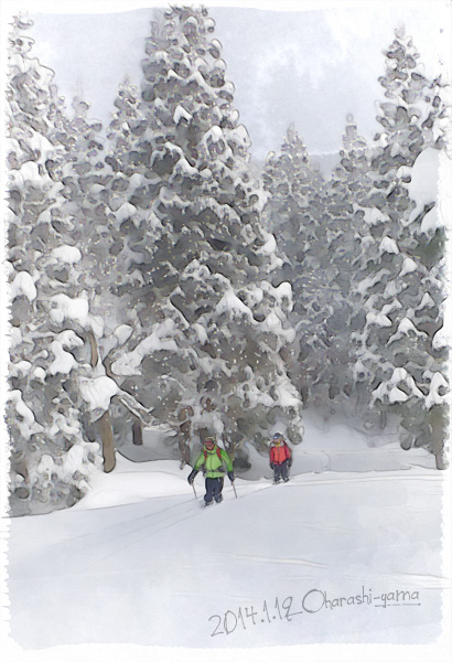 まったり系パウダースキー。　～大嵐山・山スキー～_c0087773_19545921.jpg