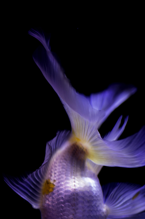 b0001380_0512131.jpg