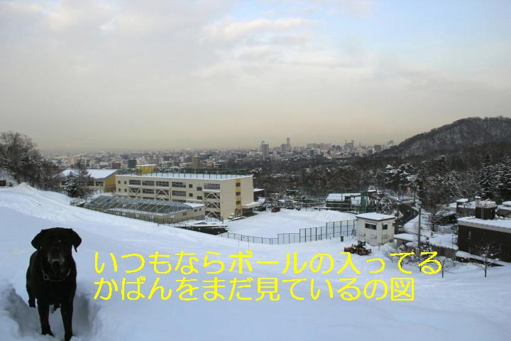 e0068480_17342773.jpg