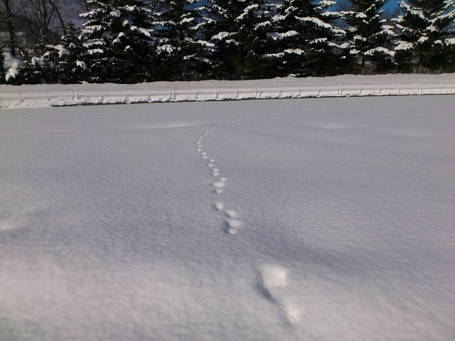 e0068480_17363937.jpg