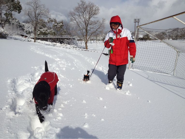 大雪でした_e0244283_1401814.jpg