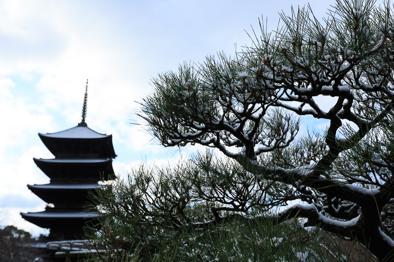 雪の東寺へ_f0224083_16461277.jpg