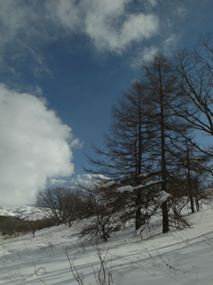 e0271890_19575200.png