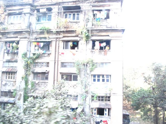 f0170995_23591693.jpg